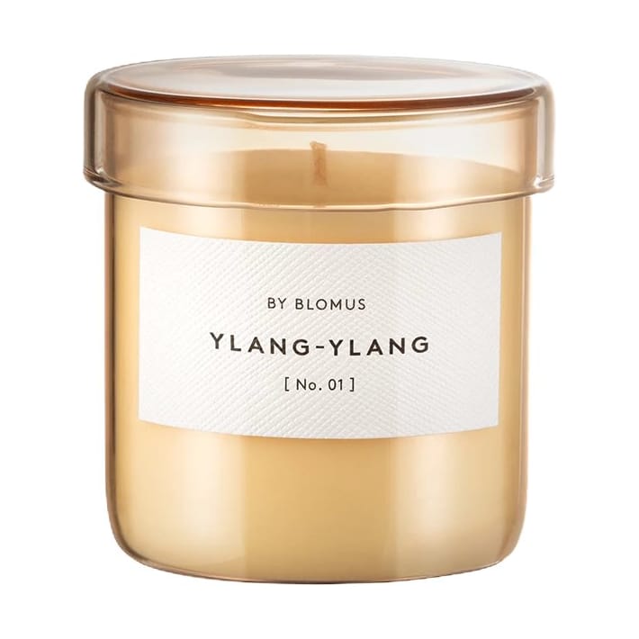 Vaola geurkaars Ylang Ylang - S, 30 H - Blomus