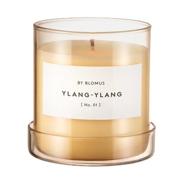 Vaola geurkaars Ylang Ylang - S, 30 H - blomus