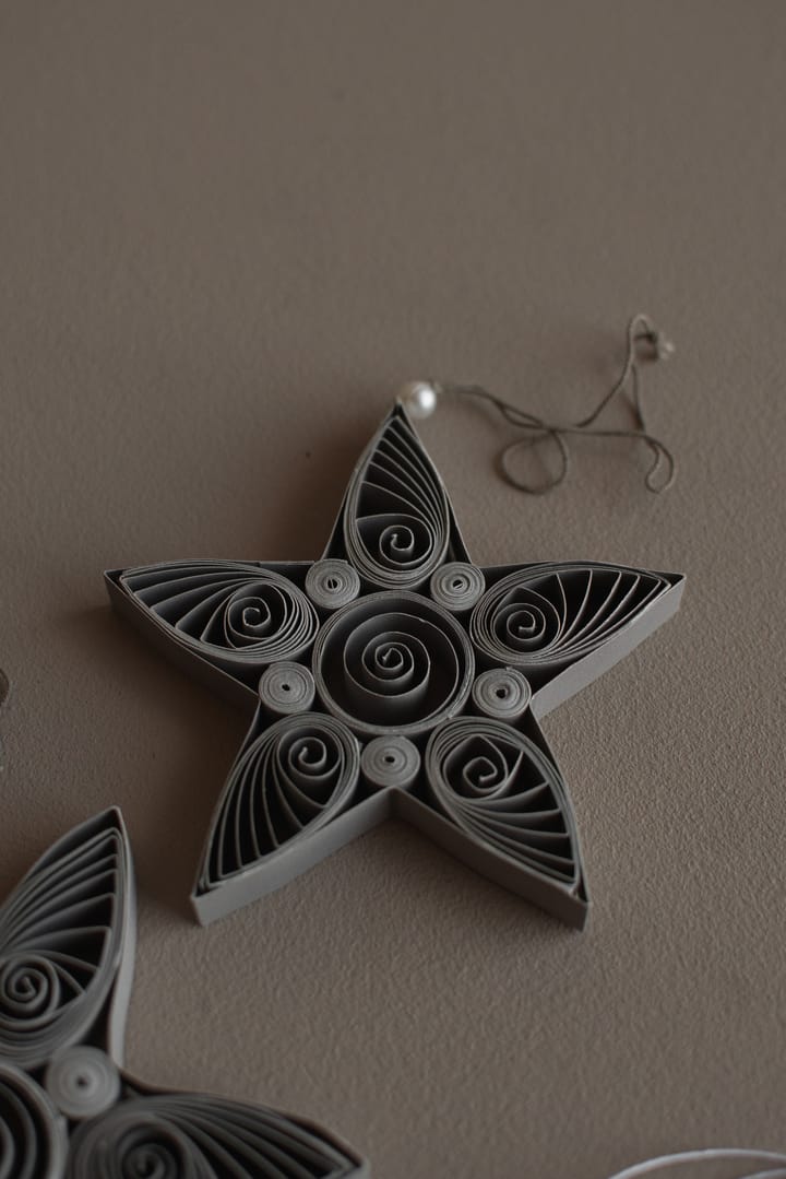 Paper star kersthanger 10,5 cm - Mole - DBKD