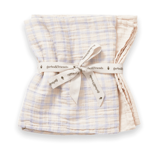 Gingham Sky Blue Muslin hydrofiele doek klein 2-delig - 60x60 cm - Garbo&Friends