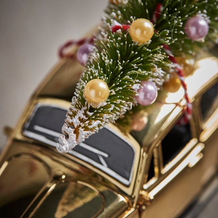 Xmas car, Goud House Doctor