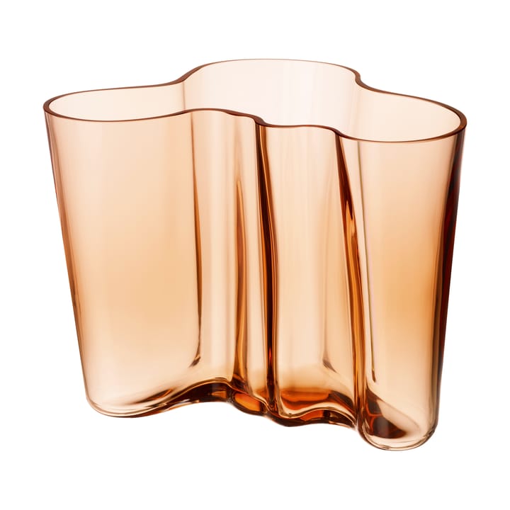 Alvar Aalto vaas Rio bruin - 160 mm - Iittala