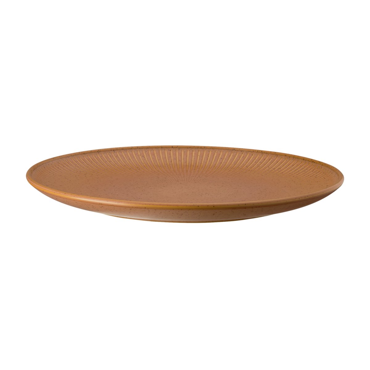 Rosenthal Thomas Clay dinerbord Ø27 cm Oranje