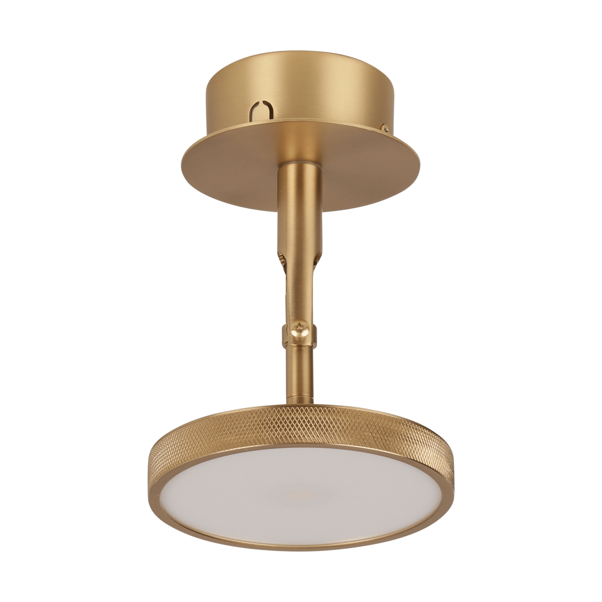 Umage Asteria Spot plafond- en wandlamp Ø12 cm Polished brass