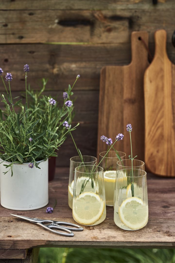 Eenvoudige zomerdrankjes om deze zomer te proberen - een klassieke limonade met tonic in een glas van Georg Jensen.