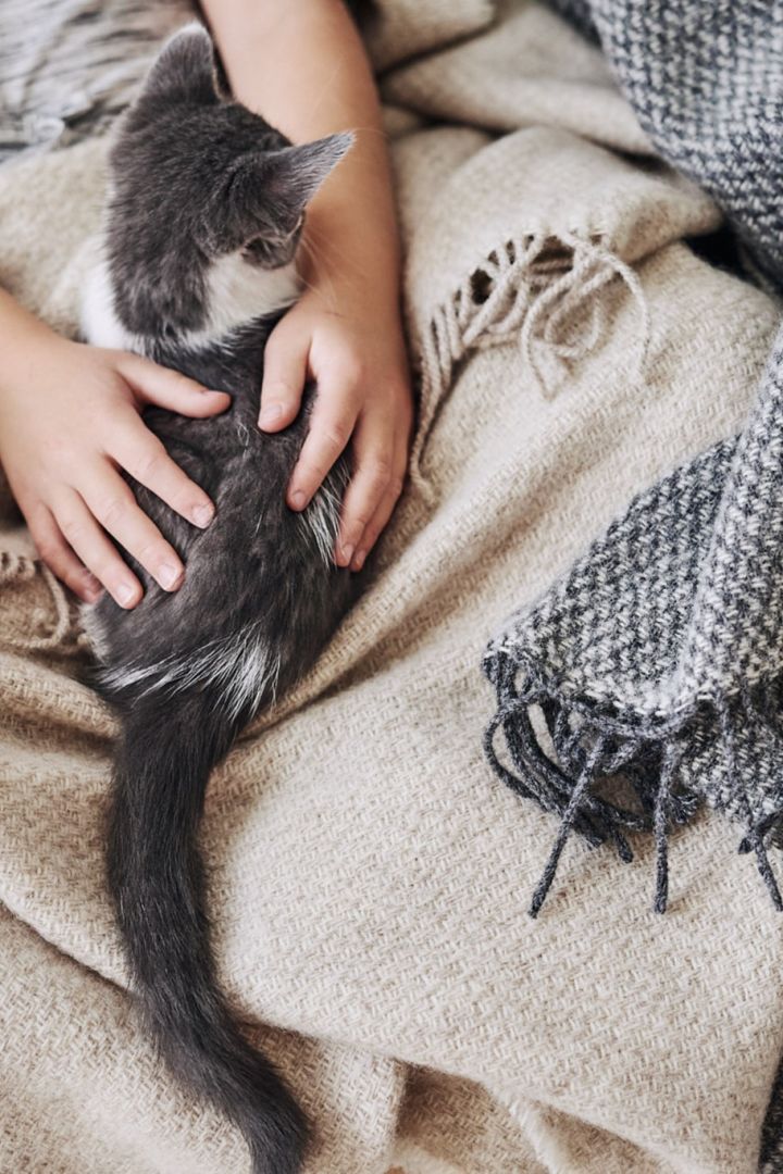 Create a cosy hygge living room with tactile textures such as the Sandstone throw from Scandi Living in beige or grey. 