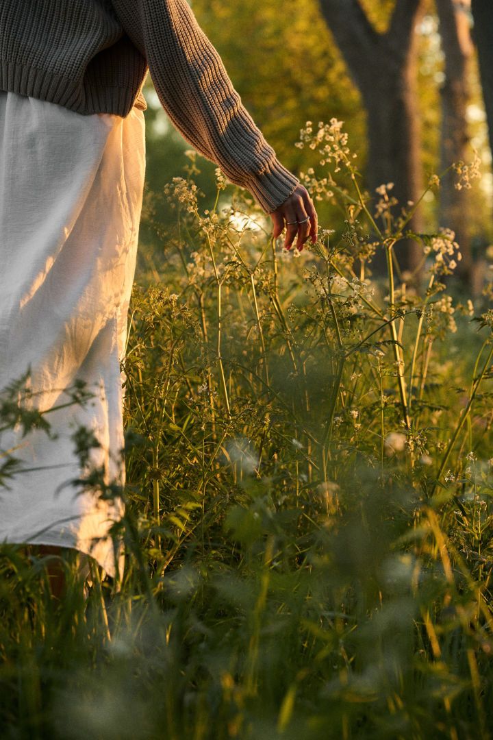 Deze foto geeft perfect de midzomersfeer in Zweden weer - hier zie je een vrouw door een weiland lopen bij zonsondergang.