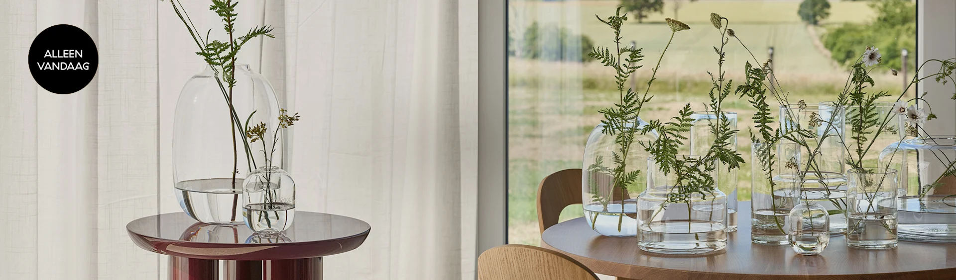 Heldere glazen vazen met groene planten op een bordeauxrode tafel en een houten tafel, met een 'Today Only' label.