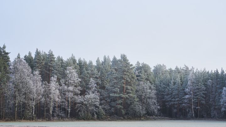 Ontdek met ons een betoverende, winterse kerstwereld! In een sfeer die doet denken aan magische winterverhalen verkennen we een plek waar Scandinavische tradities samenkomen met de tijdloze elegantie van noordelijk design. Hier wordt het dagelijkse leven omgetoverd tot pure wintermagie.