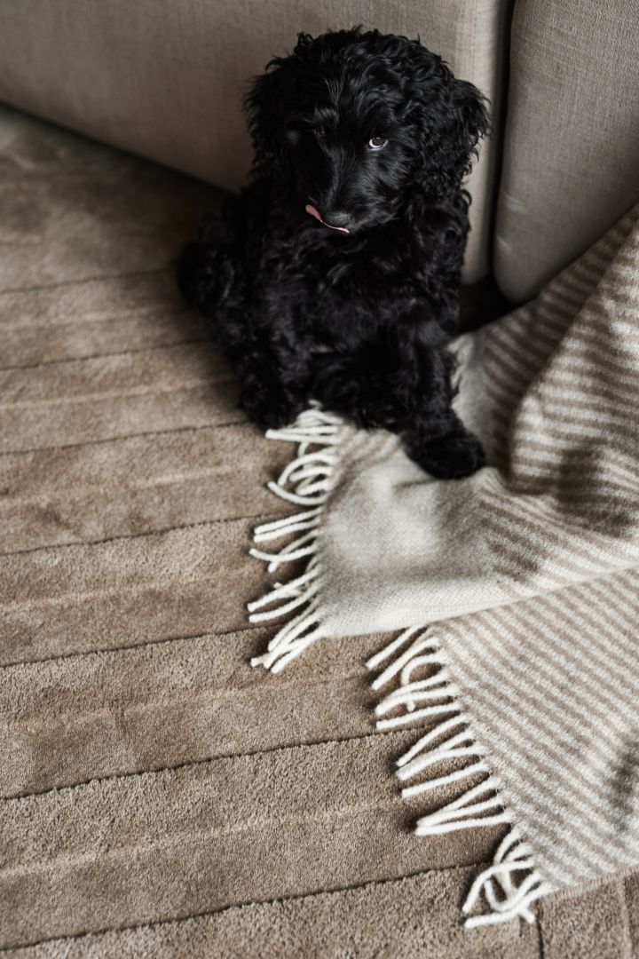 Creëer een gezellige hygge woonkamer met een hoogpolig vloerkleed zoals dit van NJRD, waar het hele gezin van kan genieten. 